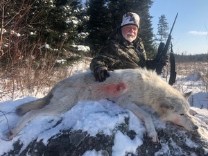 White Wolf 